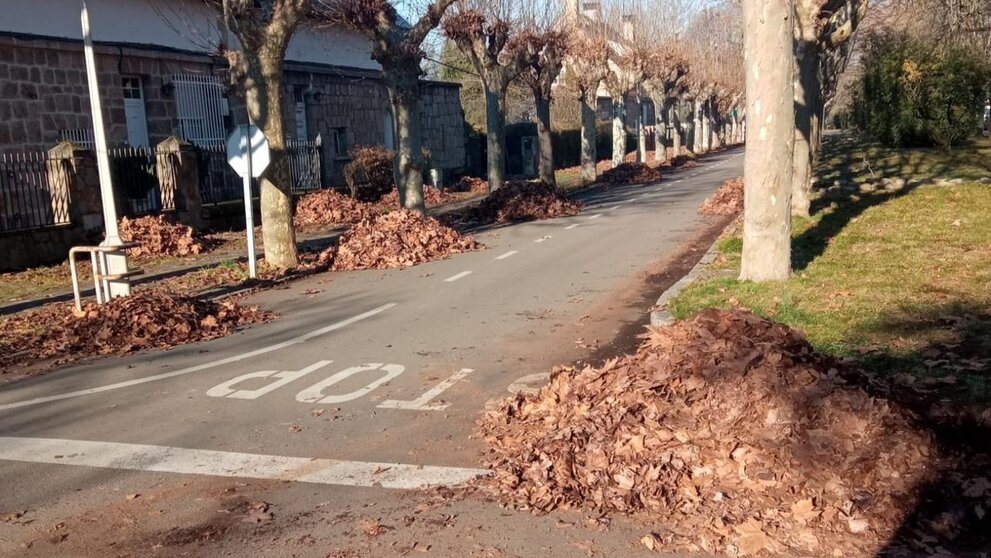 Recogida de hojas en Ponferrada