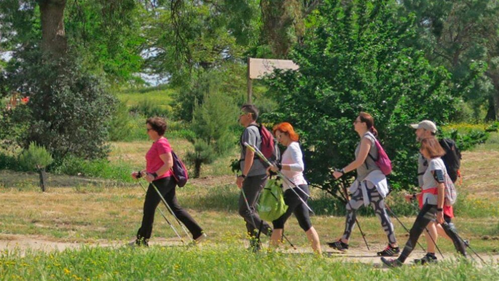 Marcha nórdica Universidad de León