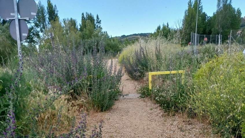 El PSOE de Sariegos lamenta el abandono de los vecinos por parte del Ayuntamiento