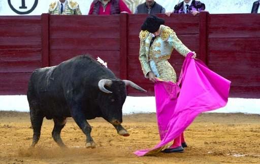 El Mene borda el toreo al natural y corta cuatro orejas en Herrera de Pisuerga.