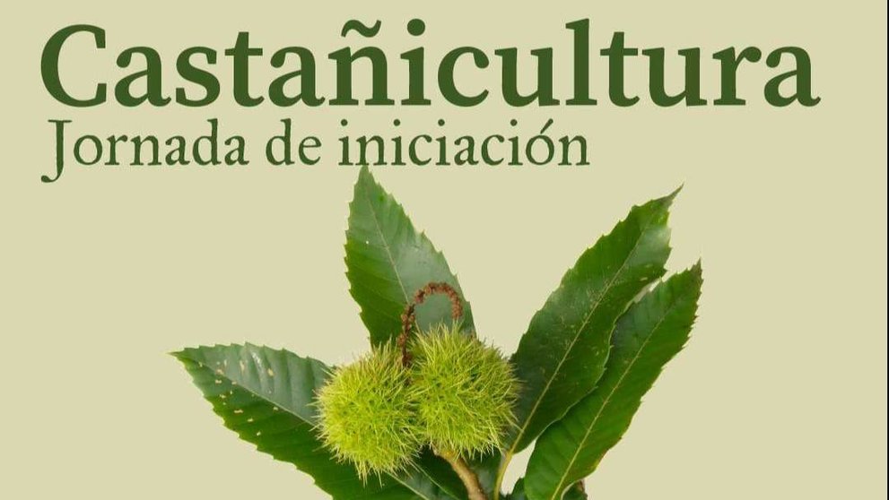 Jornada Castañicultura en Sta Cruz