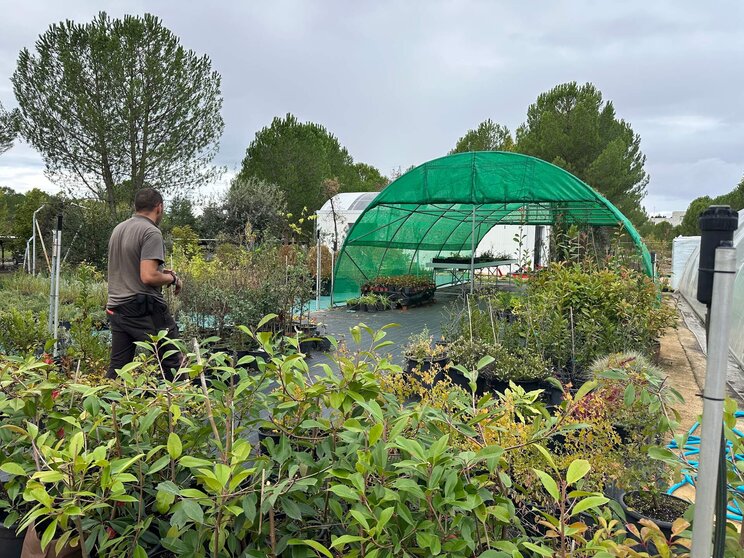 CIUDEN Vivero CIUDEN Vivero abre convocatoria para dos programas de formación en gestión forestal y jardinería