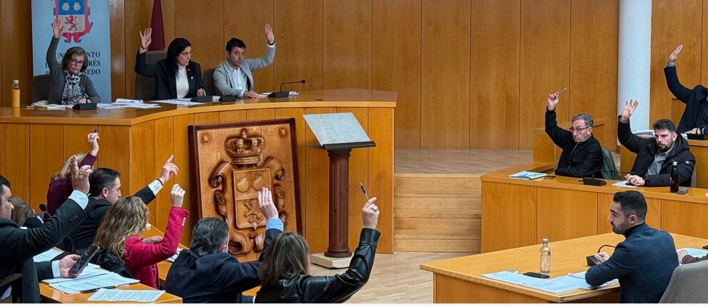 Pleno San Andrés del Rabanedo